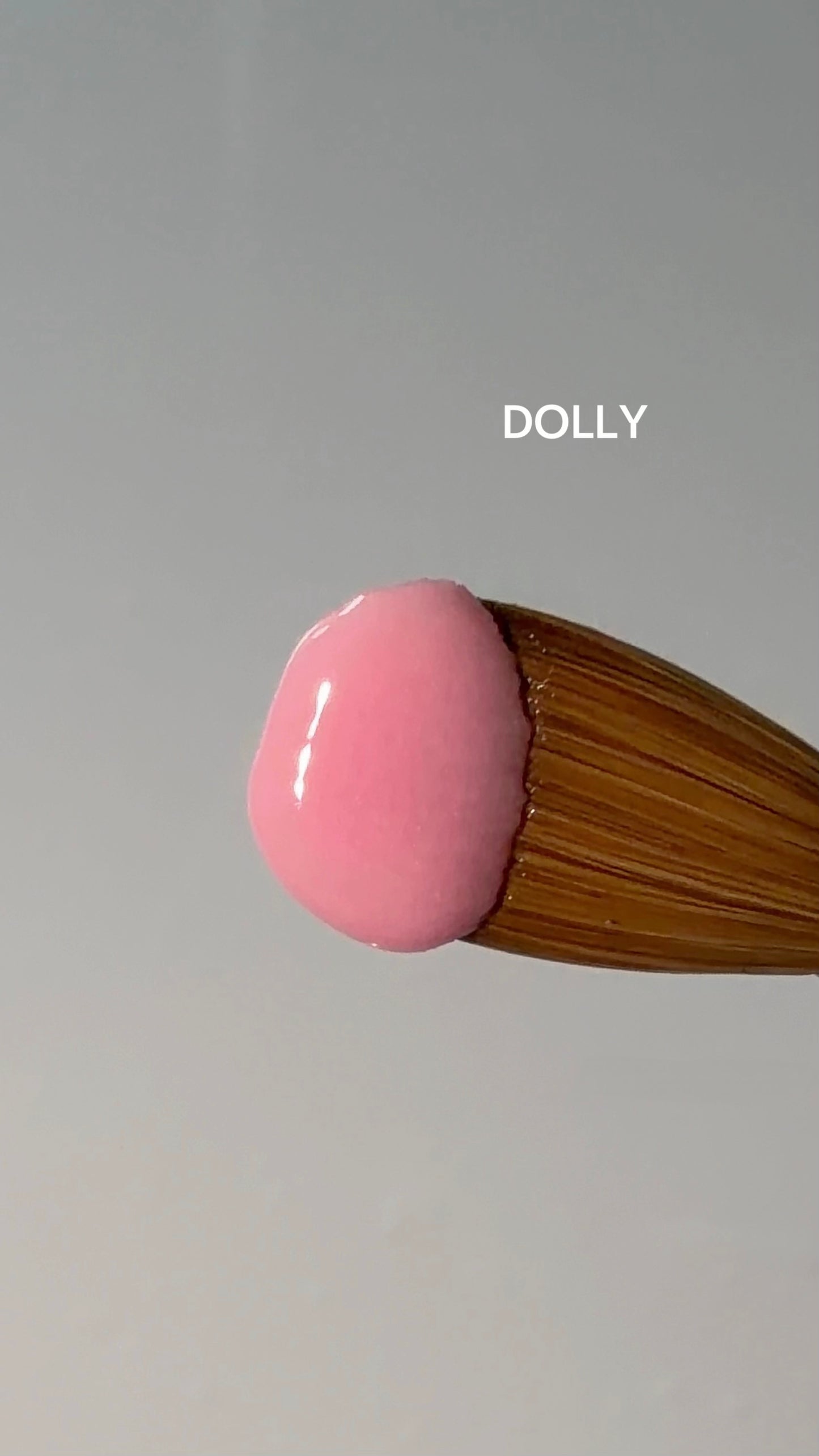 Dolly